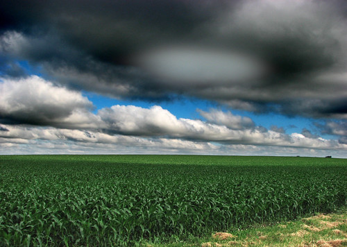 landscape cornfield cloudsmcleancountyillinoisilcentralillinois