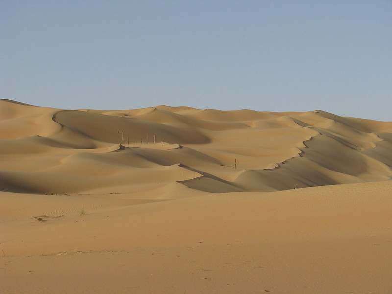 Dune crests