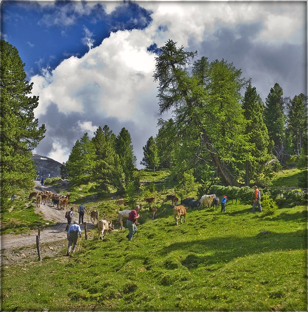 The Pastoral Symphony -   La Symphonie Pastorale 2 Swiss Summer-time