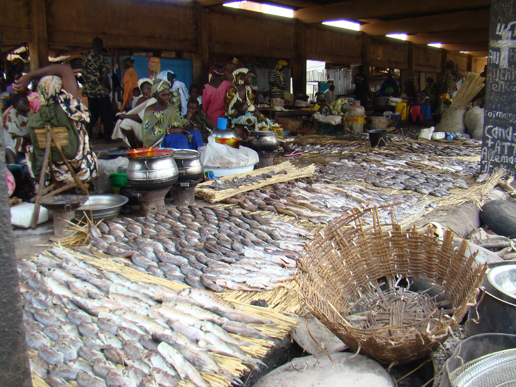 puesto de pescado Mercado del puerto de Mopti Mali 14