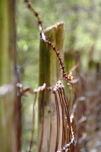 texture nc spring rust dof post bokeh northcarolina depthoffield barbedwire bunkerhillcoveredbridge catawbacounty davidhopkinsphotography