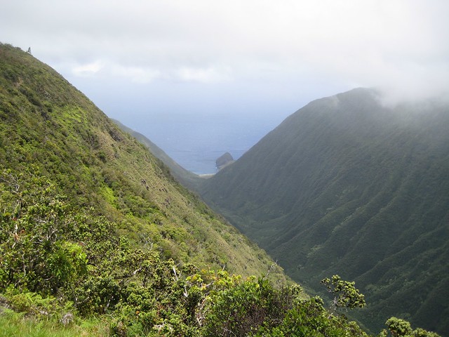 Molokai Forest Preserve - Waikolu Valley Lookout: Waikolu Valley