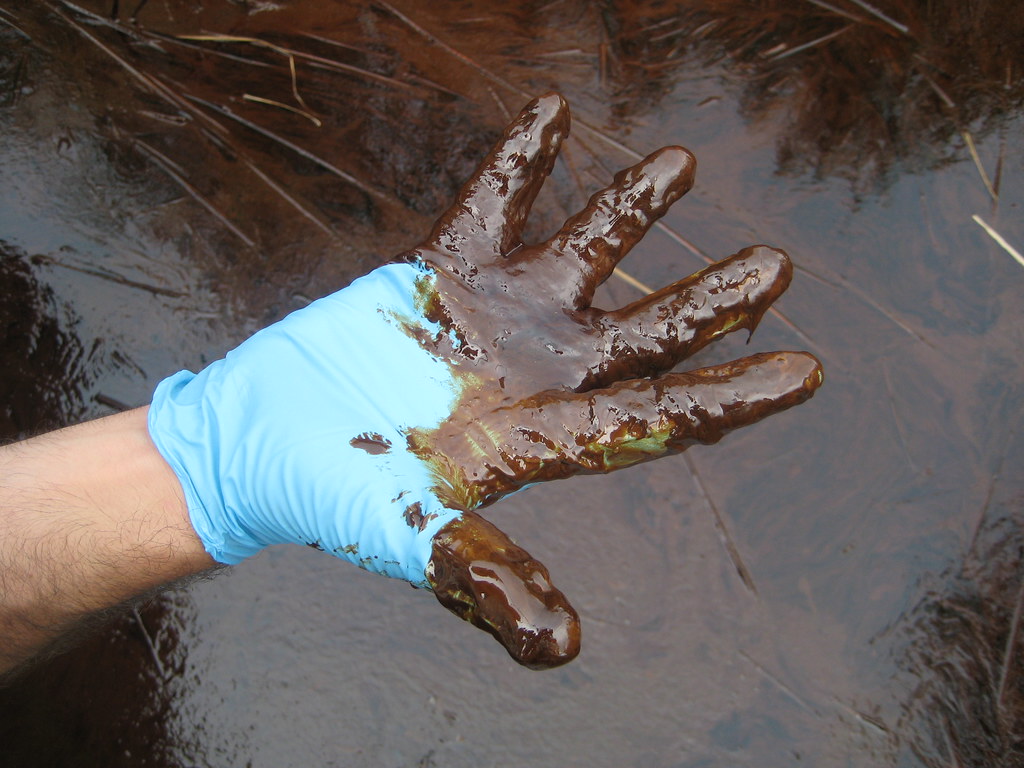 Oil Impacts June 2, Pass a Loutre - Governor Jindal joined l… - Flickr