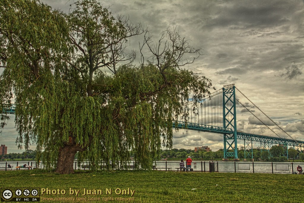 Willow Tree At Riverside [50D-2040-2] | Riverside Park, Detr… | Flickr