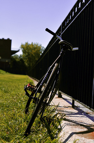 Affinity Cycles | by BenbeinbBarber