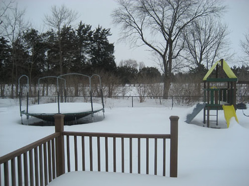 Backyard | by Joe and Lisa V