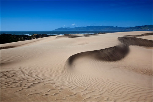 Wind and Sand by Mimi Ditchie