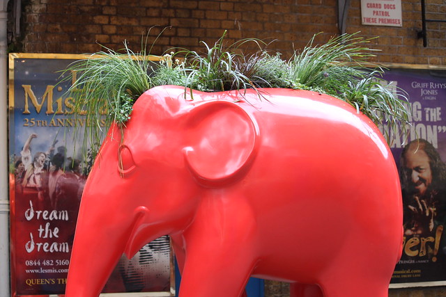 247. Tommy Hilfiger Red Elephant
