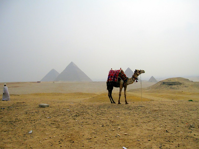Egypt. Pyramids at Giza