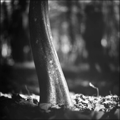 _ | by -Olena-