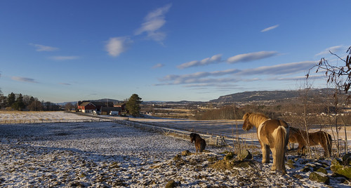 lånke stjørdal winter view farm snow horse bigsky outdoor cold norway canon efs1022