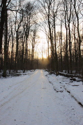 #016 by grchb, schnee winter sunset snow forest wald göppingen uhingen canonefs1755f28isusm filseck
