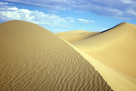 Dunes, Death Valley NP | by parks_traveler