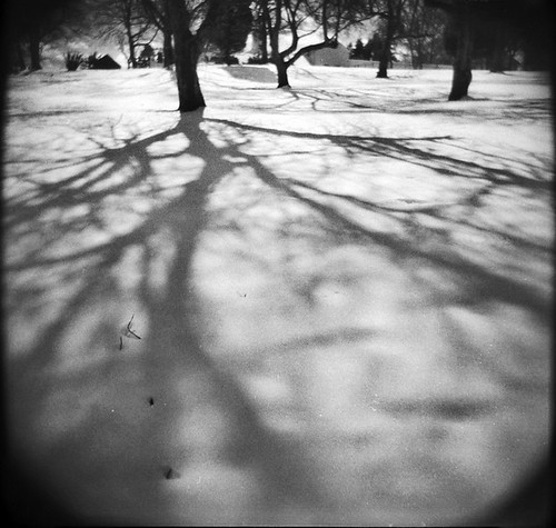 winter tree shadows onsnow holga120n stratfordct boothememorialpark