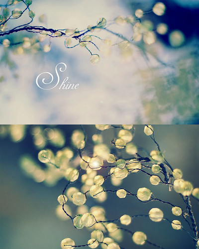 Shine- Winters | by Mehlum Sadriwala