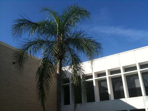 Faculty Office Building, USF