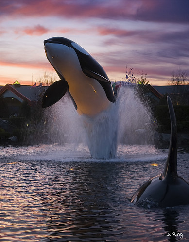 sunset fountain casino whale marysville tualip sking5000