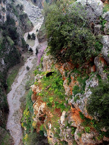 outcrop d50 geotagged greek kid nanny kreta goat fv5 doe greece crete ravine gorge heights livestock herd grazing precipice cabras graze outcropping loutro chania kriti views200 5photosaday aradena capraaegagrushircus aradenagorge rethmynon aradhaina geo:lat=35222274 geo:lon=24061604