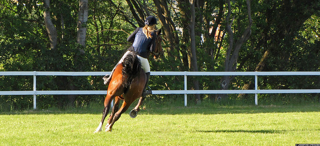 20090531_337 Horse jumping at Askims Fältrittklubb, Gothenburg, Sweden