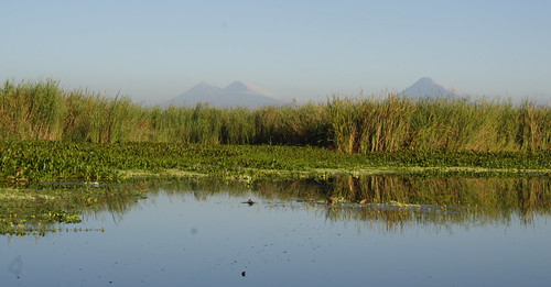 Monterrico Biosphere | by colincookman