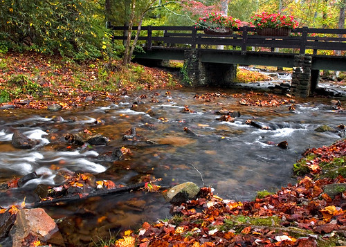 Vogel State Park | by JoeKaPhoto
