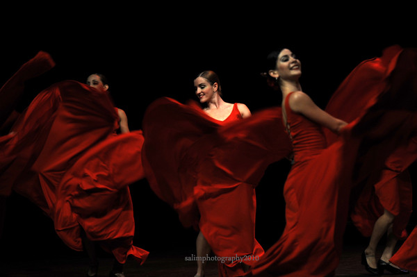Red Flamingoes ( Flamenco) ! - a series
