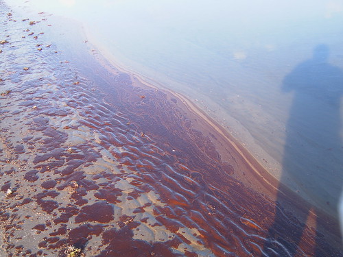 Oil Spill Grand Isle 024