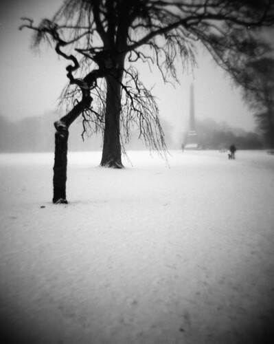 diana camera | by scottclark89