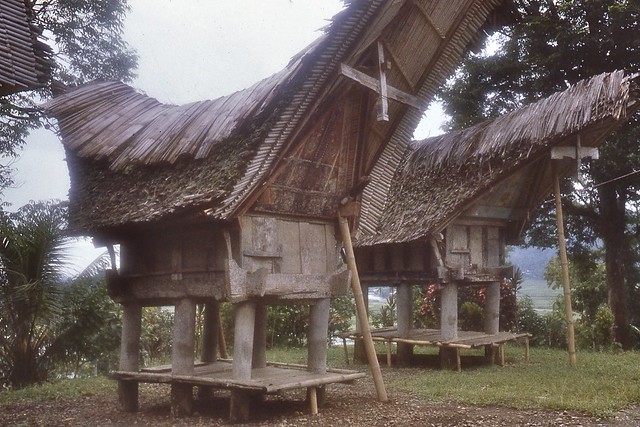 Indonesia-Sulawesi-Toraja area