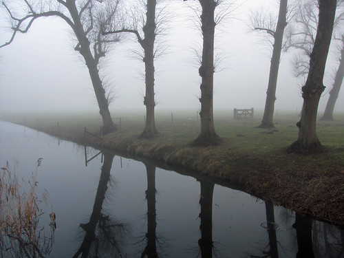 trees mist reflection netherlands fog bomen gate nederland hek reflectie heemskerk chateaumarquette