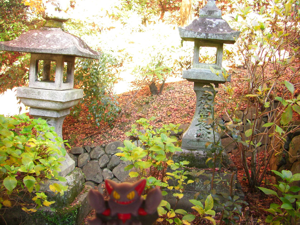 Gliscor in Sakurai, Nara 12 (Hasedera Temple)