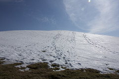 Final snow slope on Glas Tulaichean
