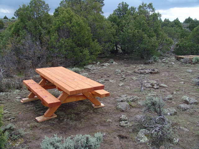 A REAL Picnic Table