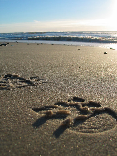 Strand Beach