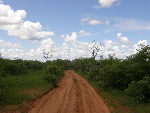 2007 piste birao centrafrique