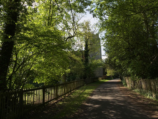 Down the lane to the church