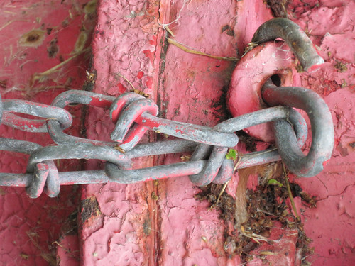hydrant peeling paint | by renee_mcgurk