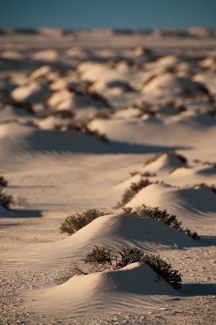 Dahkla sand dunes