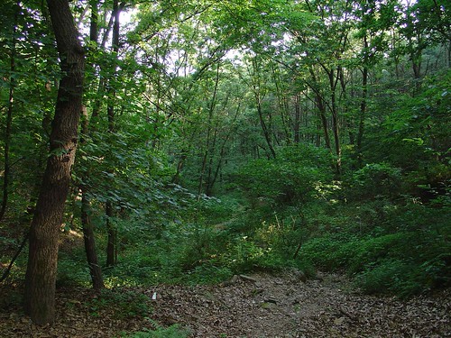 trails korea hike songtan