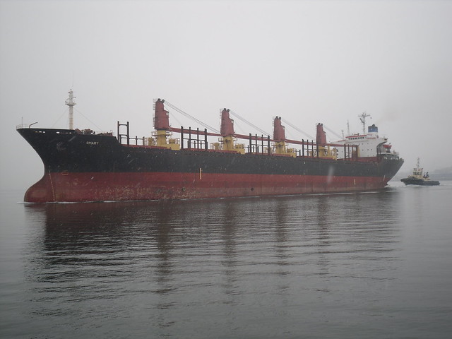 bulk carrier 