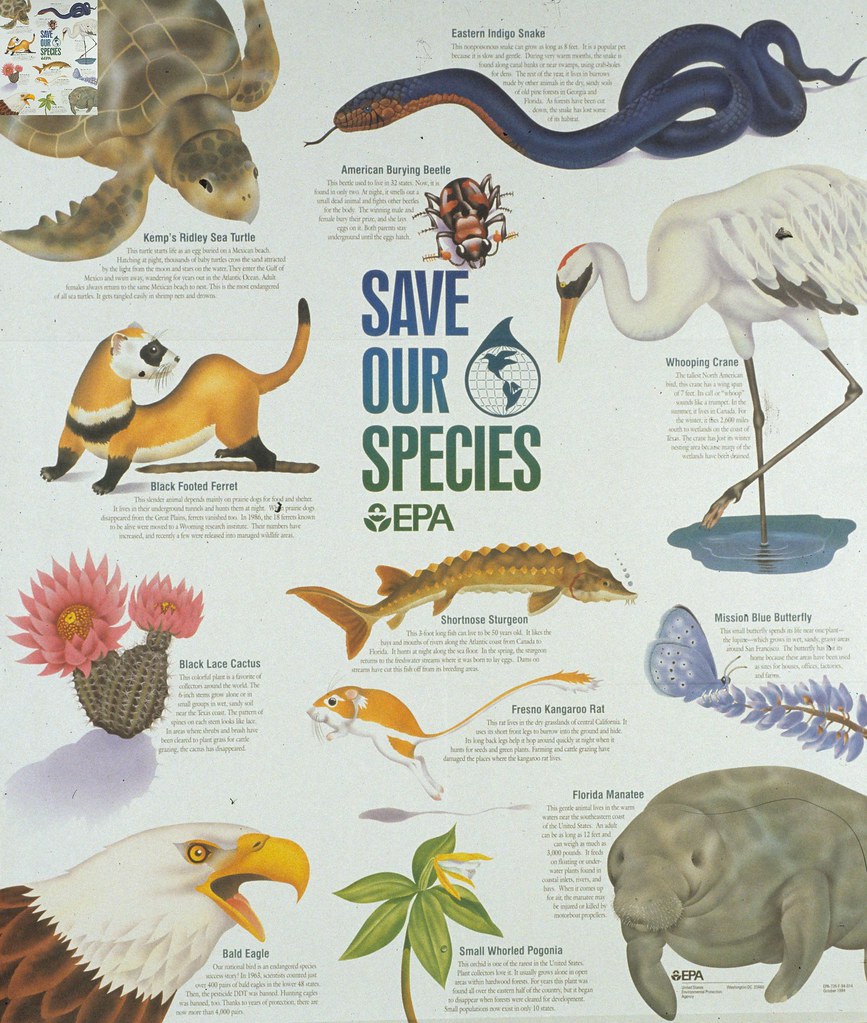 Save our species | Contributor (Organization): United States… | Flickr