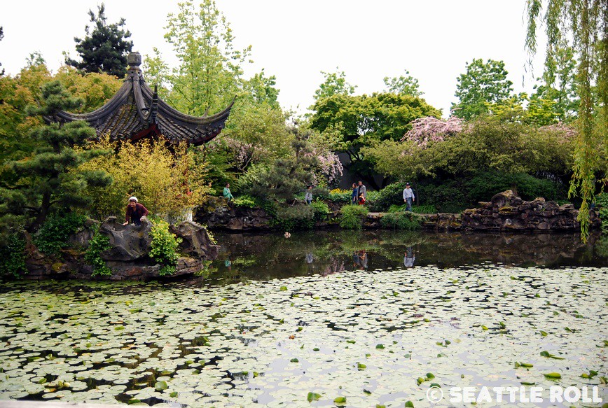 Dr Sun Yat Sen Classical Chinese Garden Seattle Roll Flickr