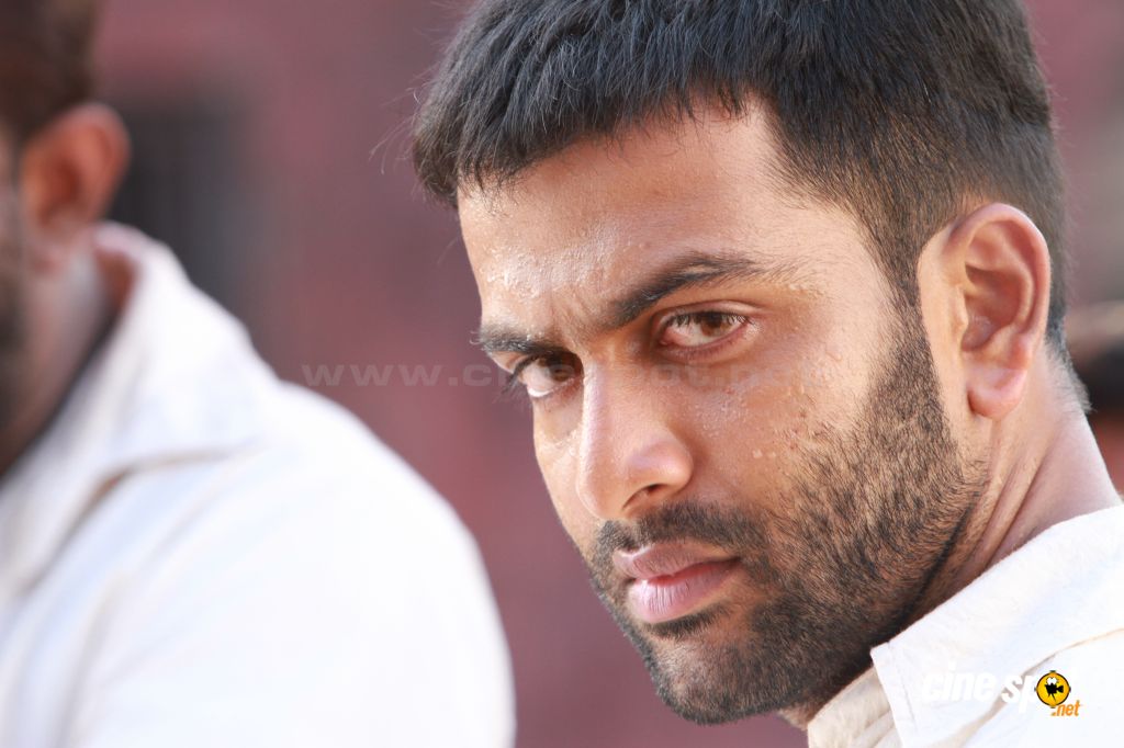 Southern actor Prithviraj to offer a script to Big B - News18