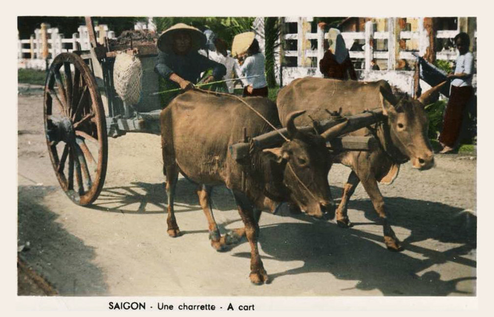 Saigon - Une Charette