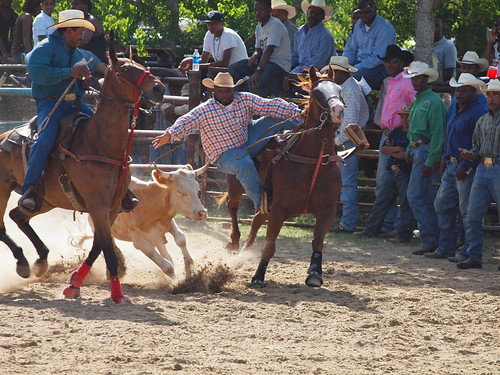 Cheek Texas Ladays Arena outside Beaumont ASGCA Bill Picke… | Flickr