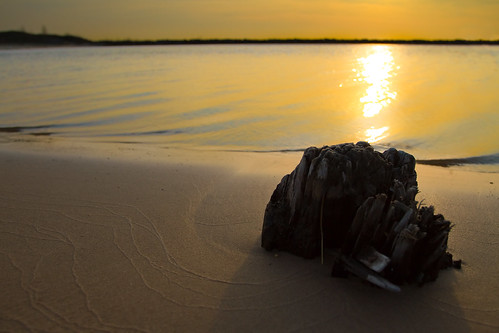 sunset lake reflection beach sand michigan lakemichigan stump newbuffalo vanagram