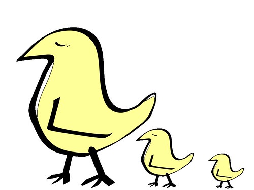 20090729_yellow_birds