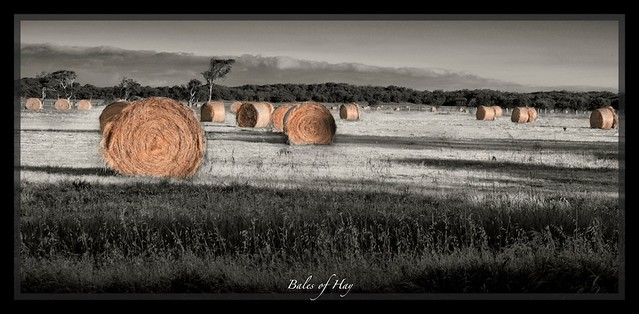 Hay Stacks-colour-4