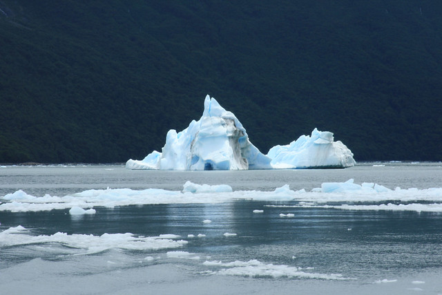 Ice Calf from Upsala Glacier