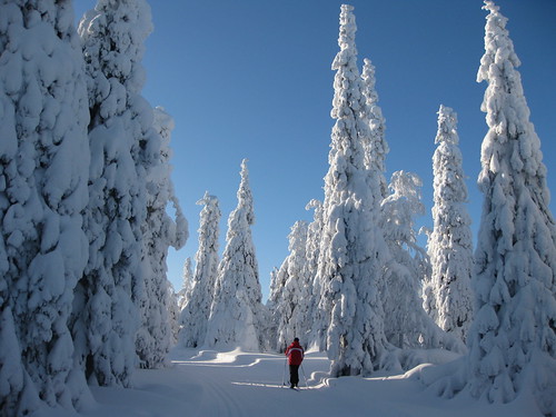 Ruka Kuusamo Finland Ja4ka4ma Flickr ruka-kuusamo-finland-ja4ka4ma-flickr